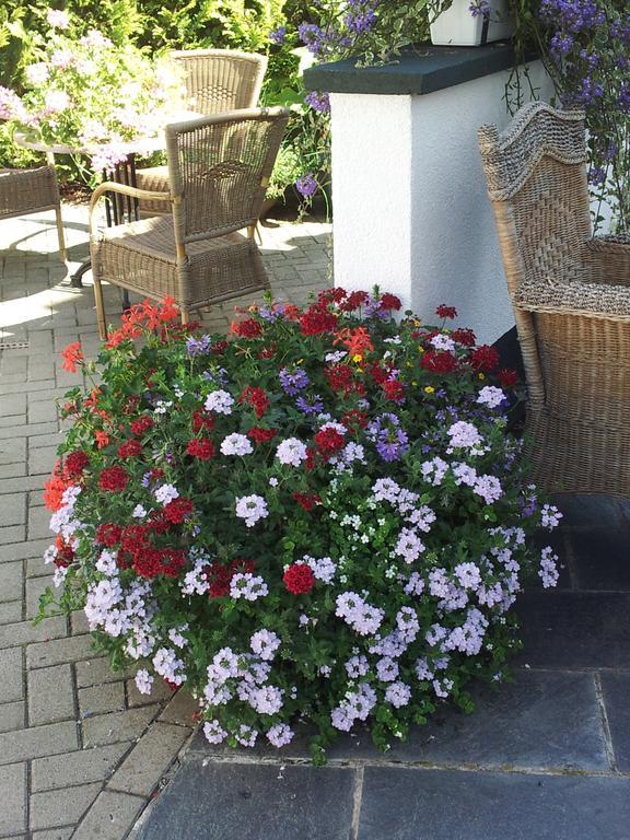 Bed and Breakfast De Witte Molen Kranenburg Esterno foto