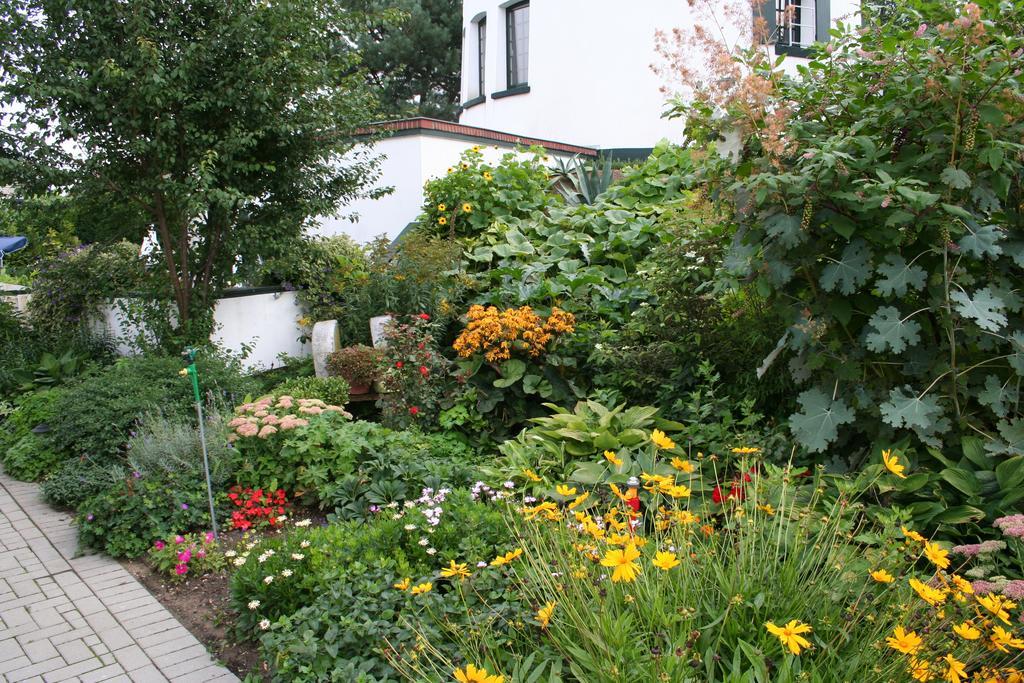Bed and Breakfast De Witte Molen Kranenburg Esterno foto